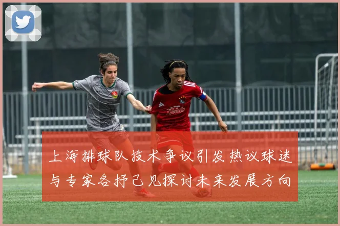上海排球队技术争议引发热议球迷与专家各抒己见探讨未来发展方向